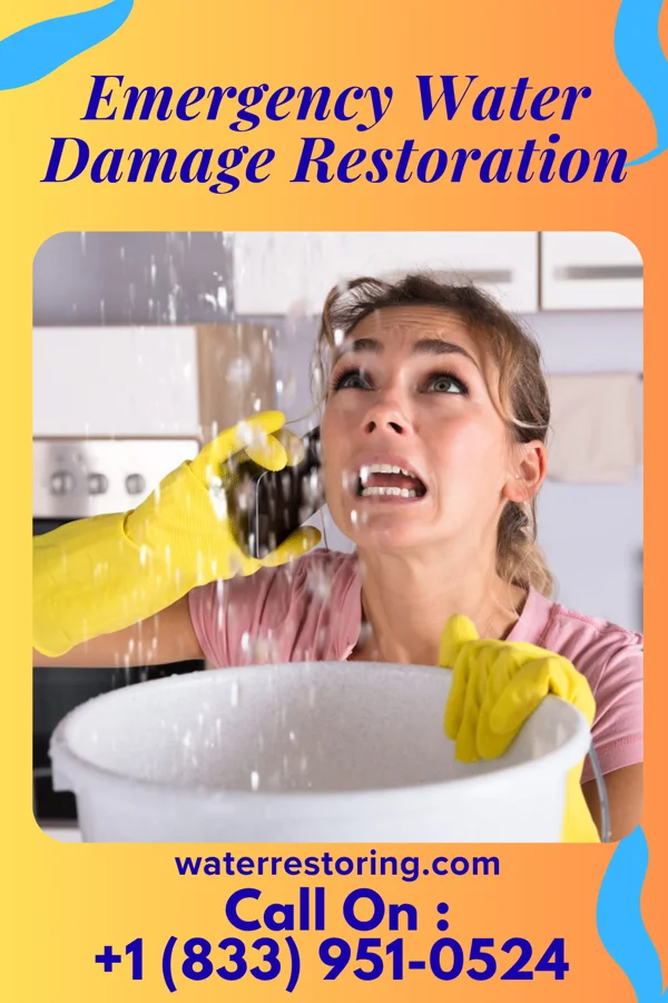 Emergency Water Damage Restoration in Buckshot, AZ