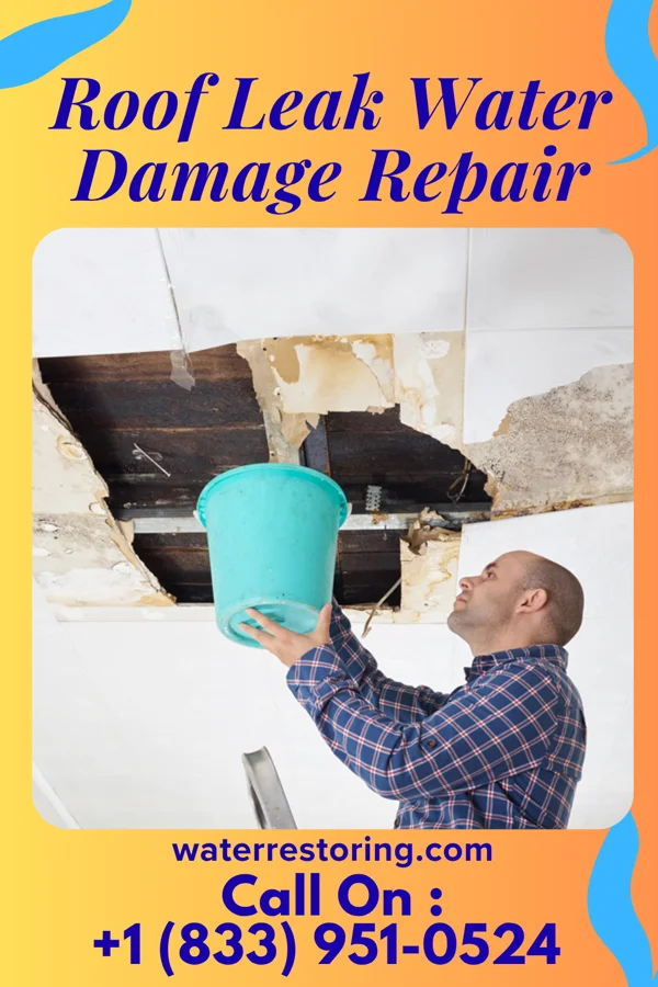 Roof Leak Water Damage Repair in Buckshot, AZ