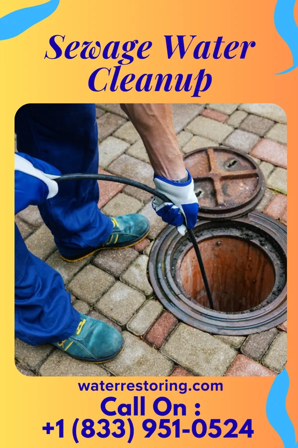 Sewage Water Cleanup in Buckshot, AZ